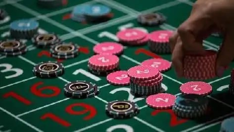 555taya casino lobby showing slots and live dealer game categories